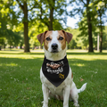 Dog Bandana - black
